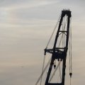 IMG_1233529