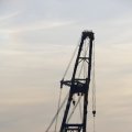 IMG_1233530