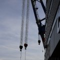 IMG_1233579