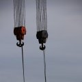 IMG_1233650