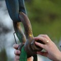 IMG_1233762