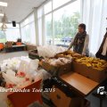 IMG_1234124