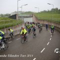 IMG_1234831