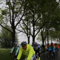 IMG_1234991