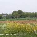 IMG_1237122