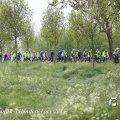 IMG_1237306