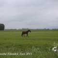 IMG_1237364