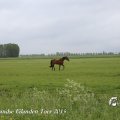 IMG_1237365