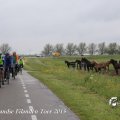 IMG_1237377