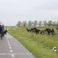 IMG_1237378