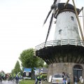 IMG_1237458