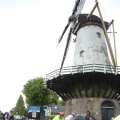 IMG_1237491