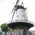 IMG_1237499