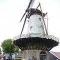 IMG_1237503