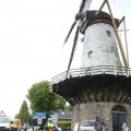 IMG_1237512