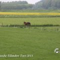 IMG_1237526