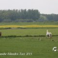 IMG_1237528