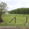 IMG_1237530