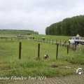 IMG_1237532