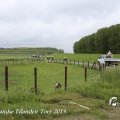 IMG_1237533