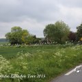 IMG_1237653