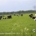 IMG_1237825