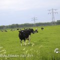 IMG_1237826