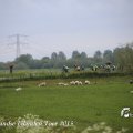 IMG_1237861
