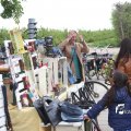 IMG_1242647