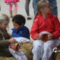 IMG_1242650