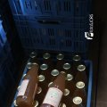 IMG_1242674