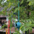 IMG_1242721
