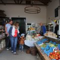 IMG_1242737