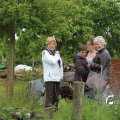 IMG_1242763
