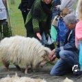 IMG_1242765