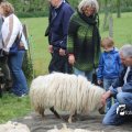 IMG_1242767