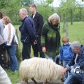 IMG_1242768