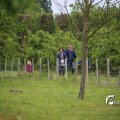 IMG_1242773