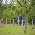 IMG_1242778