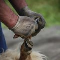 IMG_1242782
