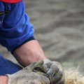 IMG_1242786