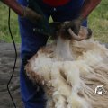 IMG_1242796