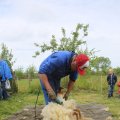 IMG_1242800