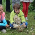 IMG_1242815