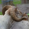 IMG_1242840