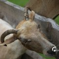 IMG_1242841