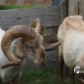 IMG_1242843