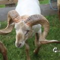IMG_1242848