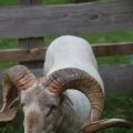 IMG_1242850
