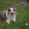 IMG_1242858
